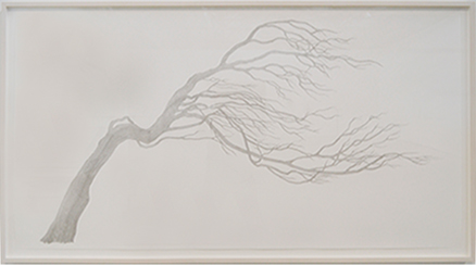 Reinhard Reitzenstein Juniper